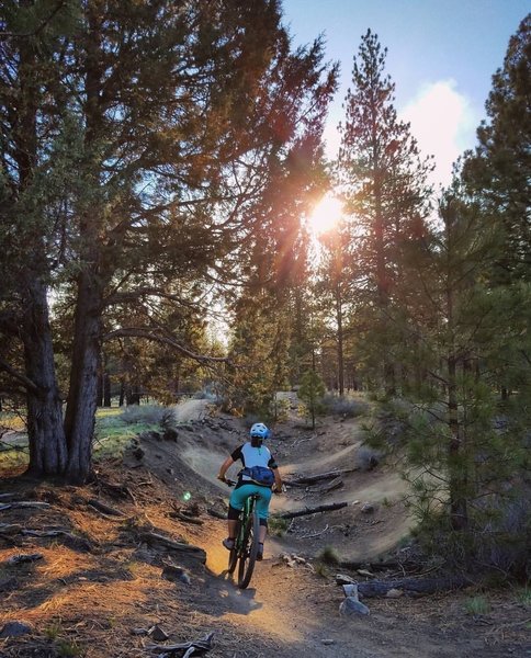 Great flowy trails