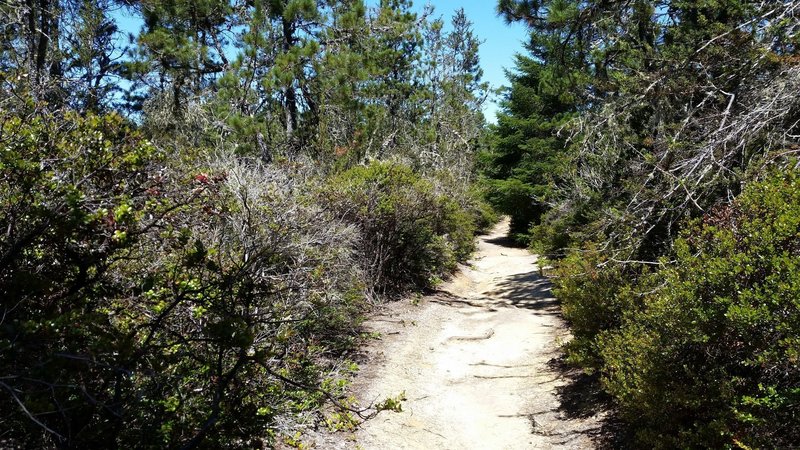North Trail
