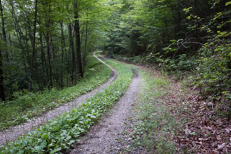 double track trail