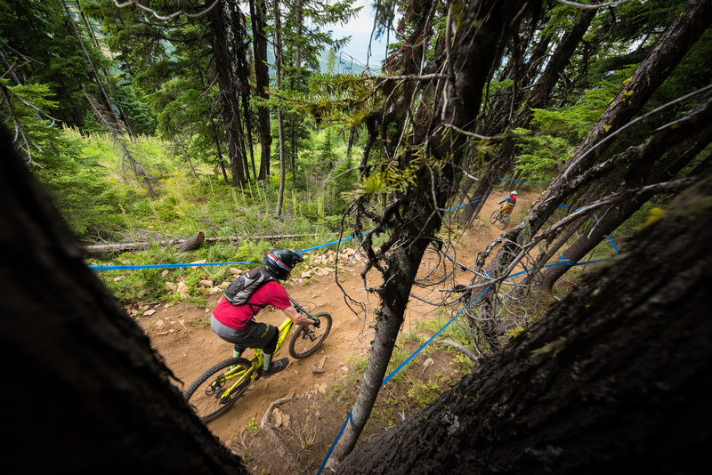 Jackass Mountain Bike Trail, Kellogg, Idaho