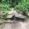 Nice boulder feature on Bear Way.