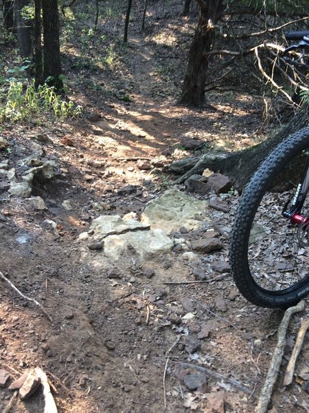 dorba mountain bike trails