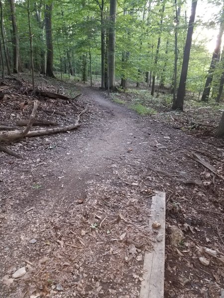 The flow of the trails are very nice.