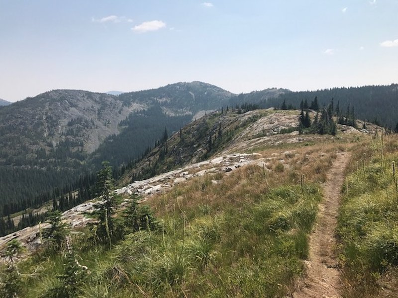 looking towards timber mountain from the buck mountain trail