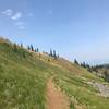 Great trail that sidehills towards Buck and Iron Mountains.