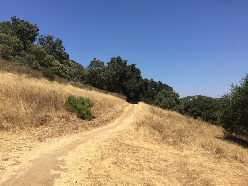 Mayfair Ranch Trail