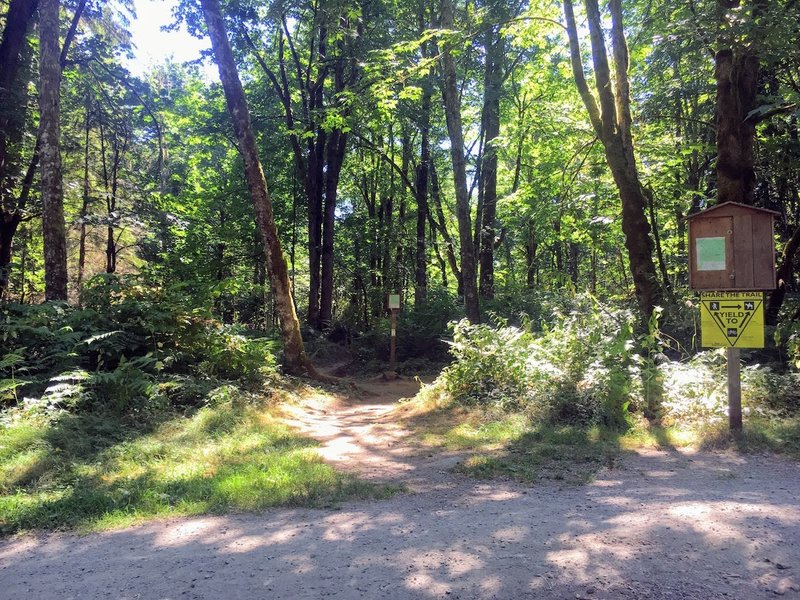 Bone Trail