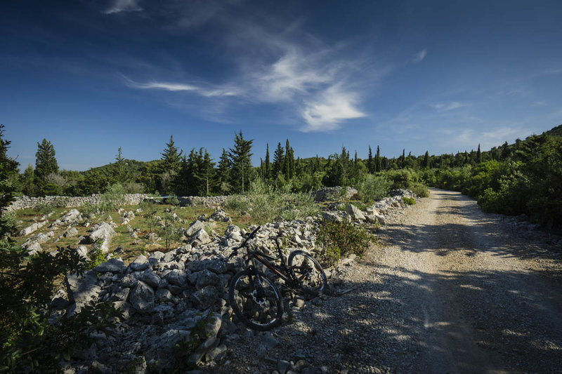 Quiet gravel roads with rock fences on Uglijan Island, Croatia.
