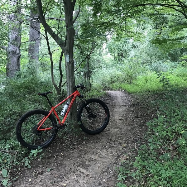 Montgomery county mountain bike trails sale