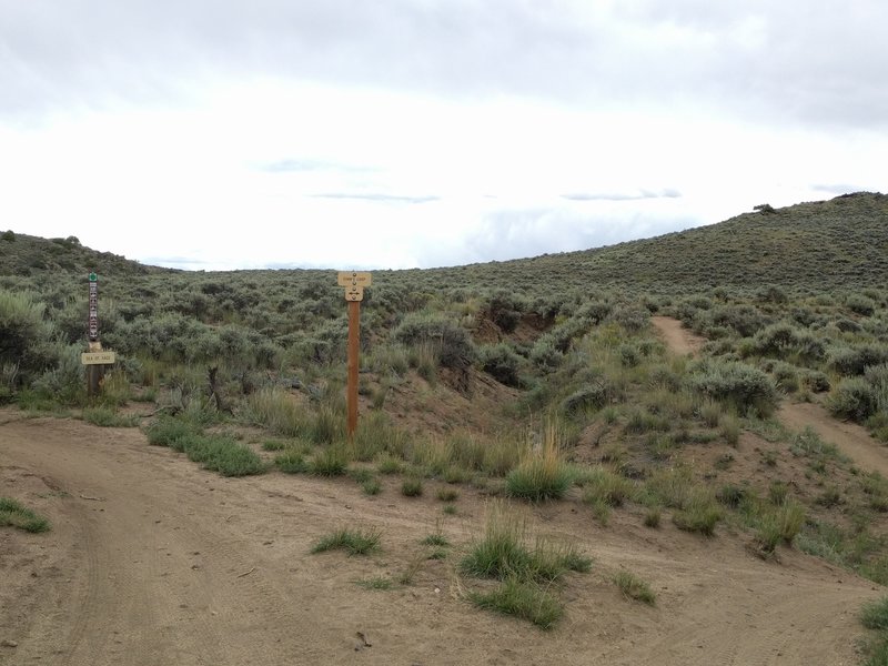 Start and End of Evans Loop. Broken Shovel on the right, Sea of Sage on the left.