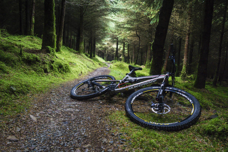 ballyhoura trails