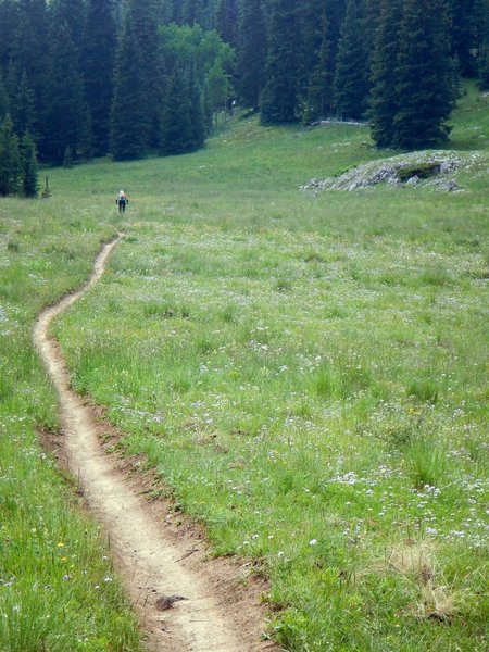 This trail has it all, buff to gnar!