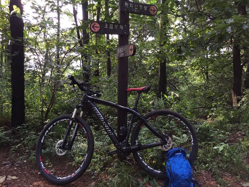 Trail signs help you navigate along the way.