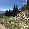 Panorama from top of Decker Creek Summit looking south-ish