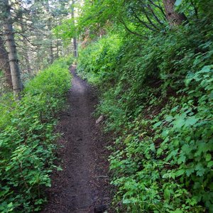 salamander flats campground