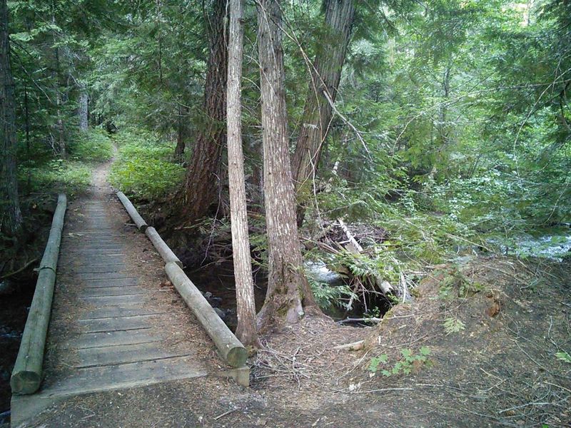 Cedar Creek Trail #457