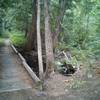 Sturdy bridge at the east end of the trail.
