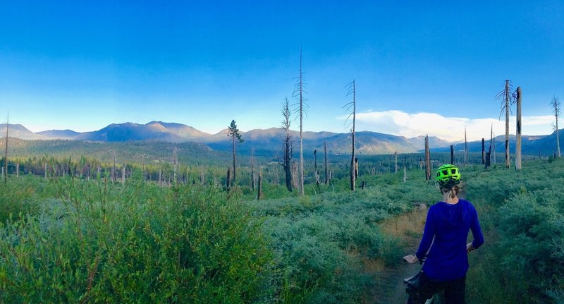 Gunmount Trail