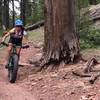 Awesome smooth singletrack