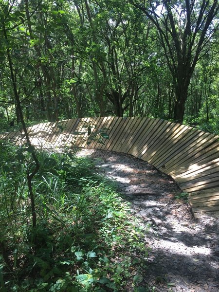 Main Loop Mountain Bike Trail, Mount Dora, Florida