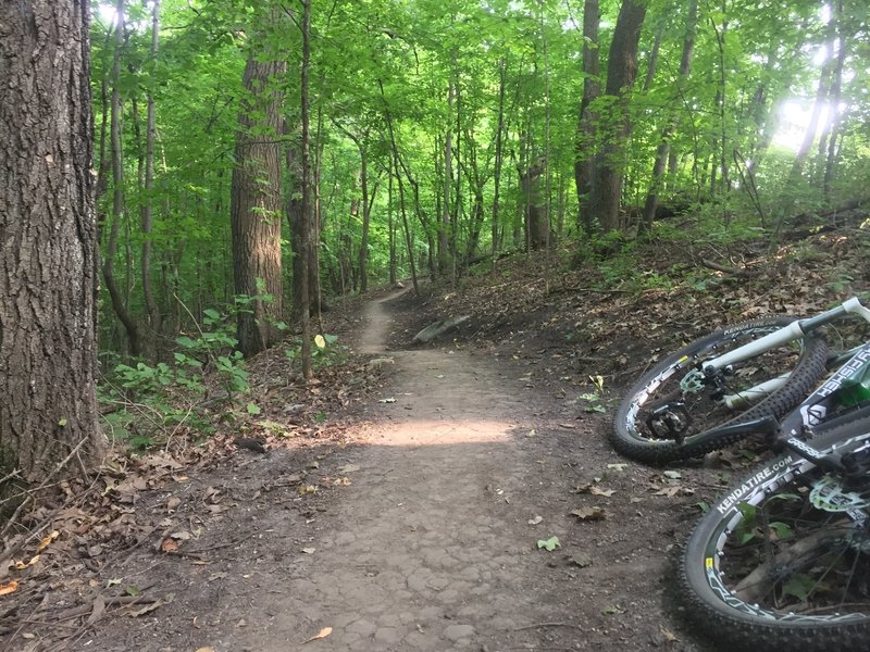 lake rebecca bike trail