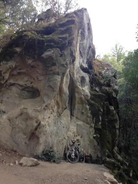 An interesting rock with a bench. About 4 miles into the trail from the Black Road entrance.