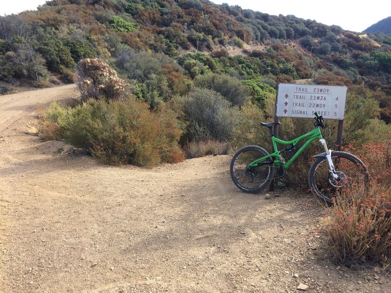 Nordhoff Ridge Road