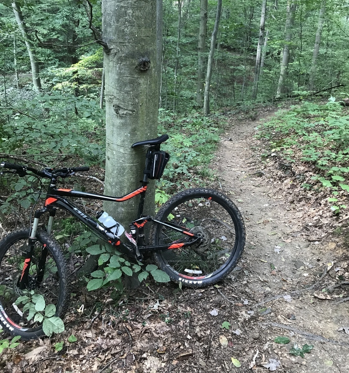 mohican mtb