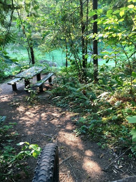 Quiet secluded picnic spots hidden around lake