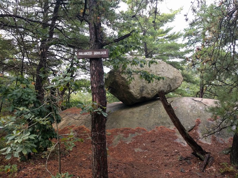 Balanced Boulder - key for navigation - at the intersection of Overlook, Boulder loop and Awesome sauce trails.