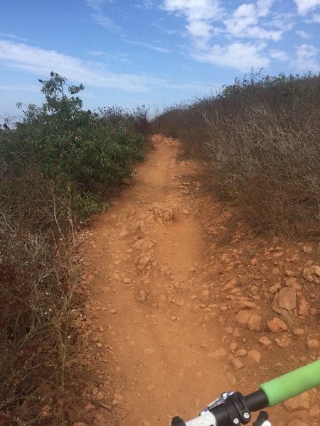 Switchbacks Straightaway