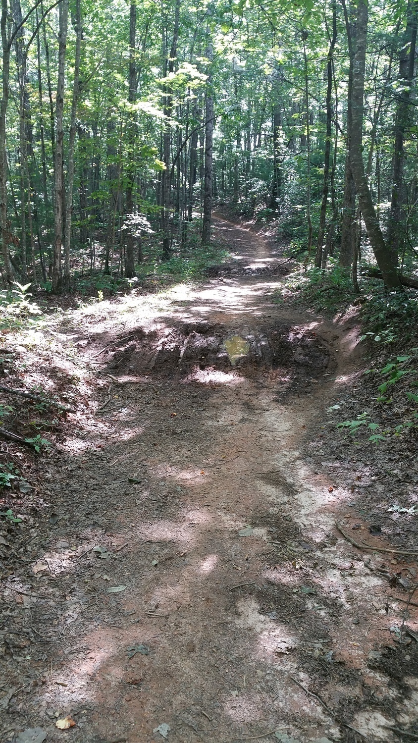 Turkey Knob Road has a number of low spots that fill with mud even a