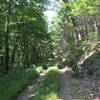 Doubletrack climb to Shenandoah Mtn Trail