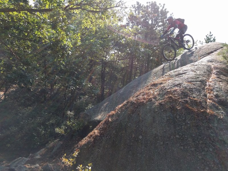 lynn woods mtb