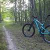 A rare wide open section on the Blue Loop.