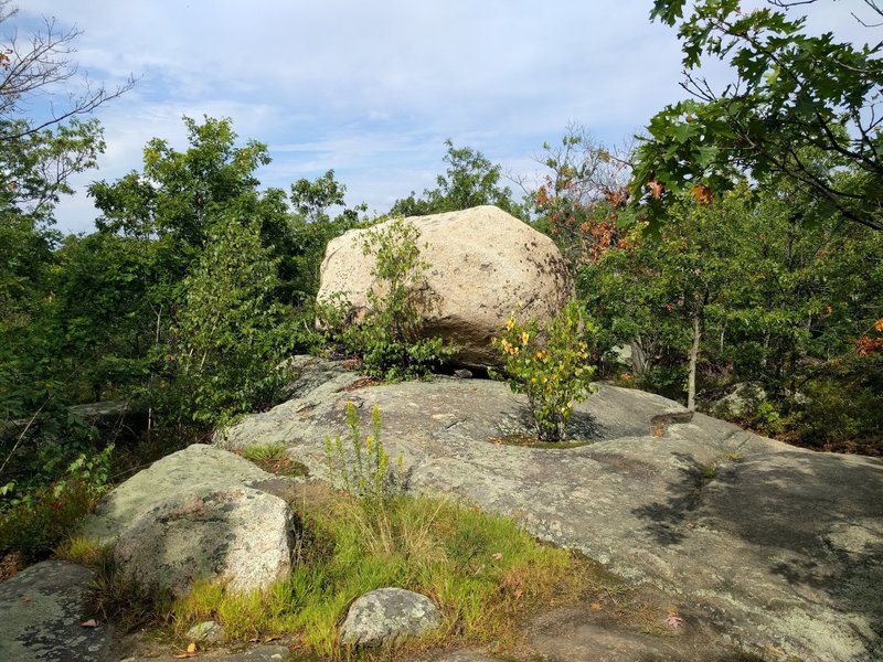 Look for the big boulder at the entrance to the Forgotten Loop.