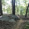 Main line goes to the right but there appears to be a second line that rolls over the rock on the left.