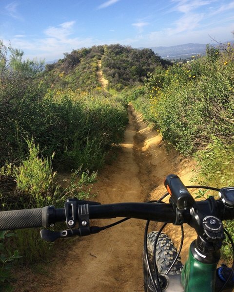 Serrania Ridge Trail