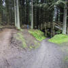 You could get lost in the maze of trails at Glentress, except that they are so well marked.