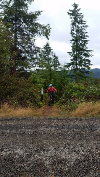 Coal Creek