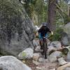 One of many sweet rock gardens on Sayles Canyon