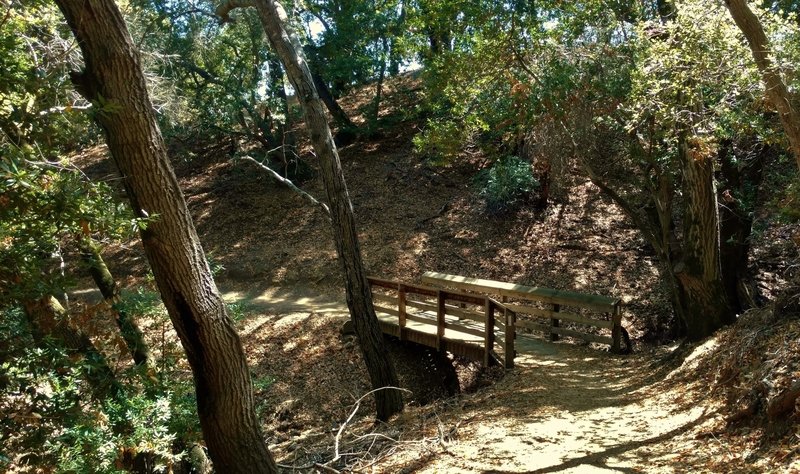 A wooded section of Longwall Canyon Trail crosses a stream.