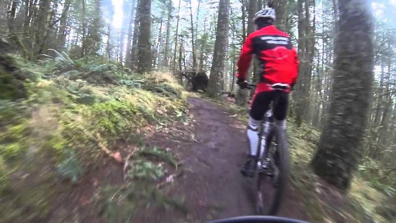 Lower Dan's Trail