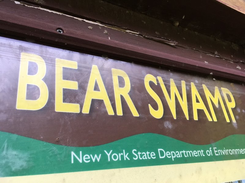 Bear Swamp forest rail entrance kiosk and map.
