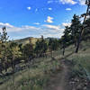 On the upper half of this trail, there are some nice views looking back towards Boulder valley