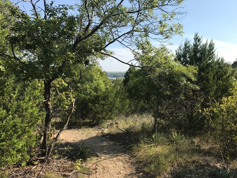 quanah hill bike trail