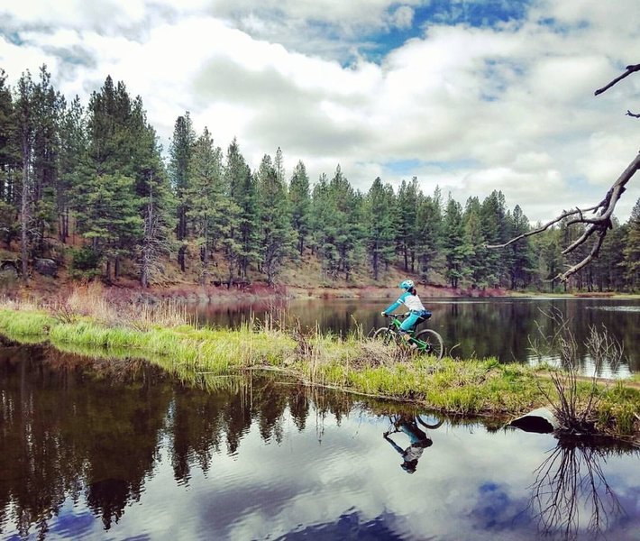 fat bike tubes