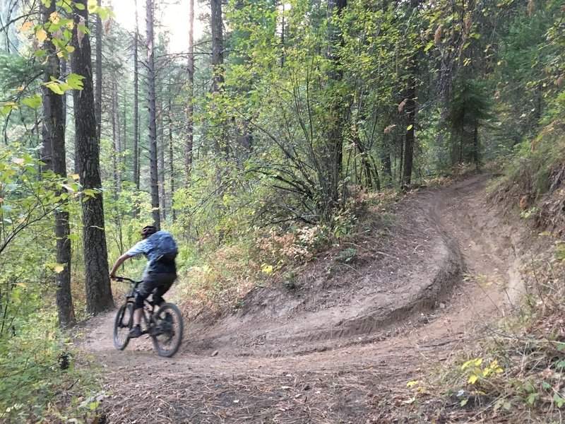 bear creek mountain bike trail