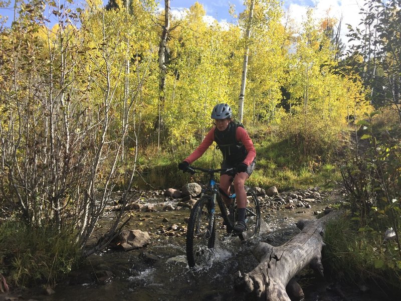 A nice creek crossing with great aspens.