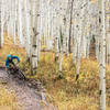 The aspens on Lupine and Gunsight can't be beat.
